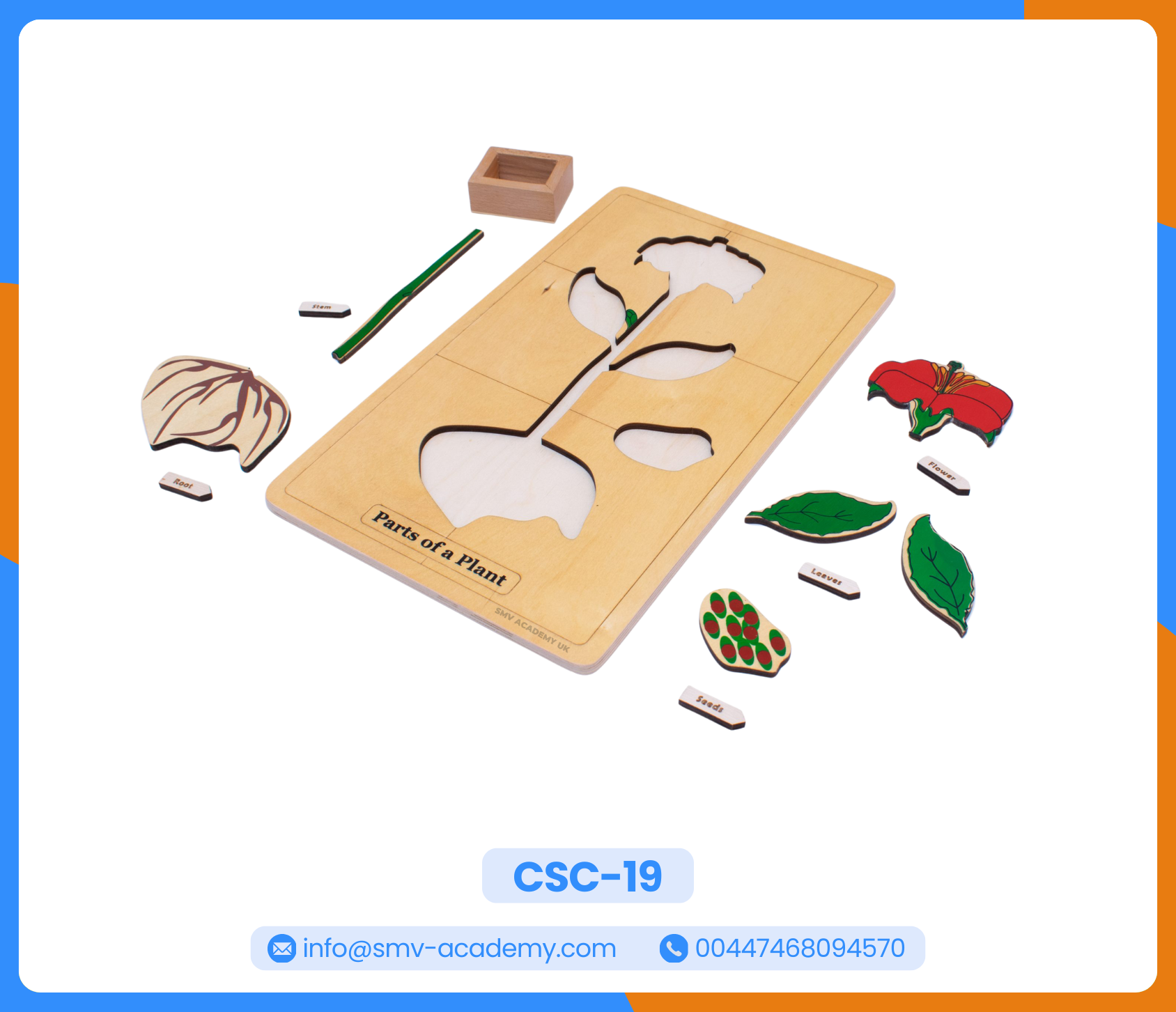 بازل أجزاء النبات - Parts of a Plant Puzzle